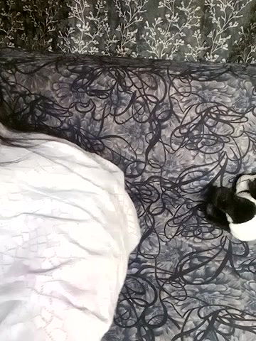 Stripchat-Public.Show-f-shuhana_-2025.04.21.023941