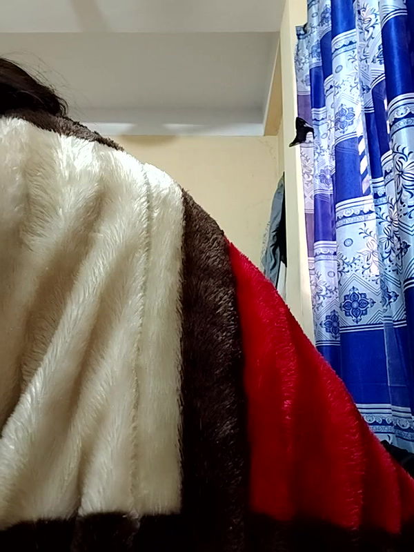 Stripchat-Public.Show-f-SimaRoy–2025.01.24.032058