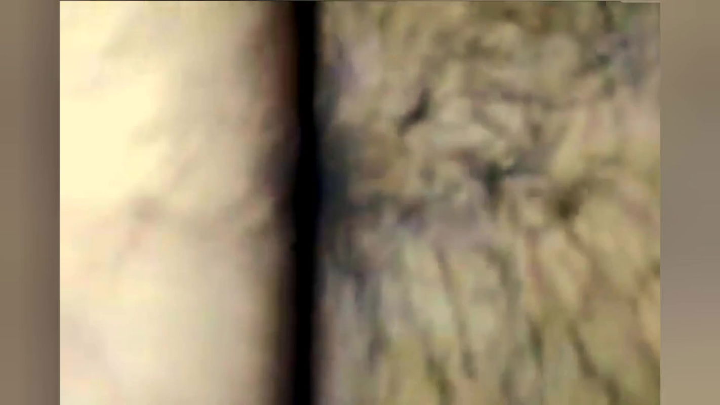 Step Sister gets her pussy stretched by her Stepcousin brother