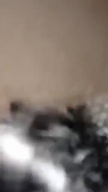 BD Girl Hard Fuck with Loudmoaning