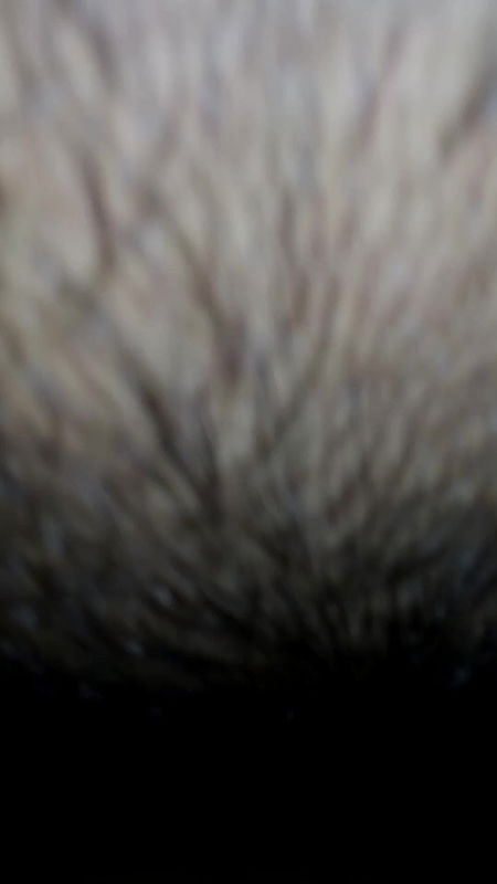 Stepsister Ko Choda New Year Gift Radha Krishna