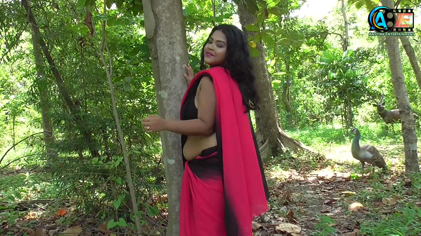 high fashion saree shoot saree fashion show saree lovers saree sundori