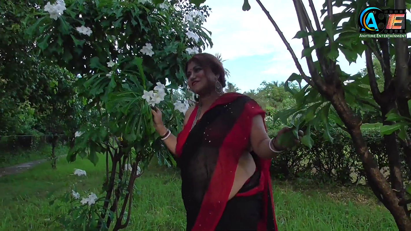 PAMELA Saree Sundori Saree Fashion Video Shoot Saree Lover High Fashion Saree Shoot