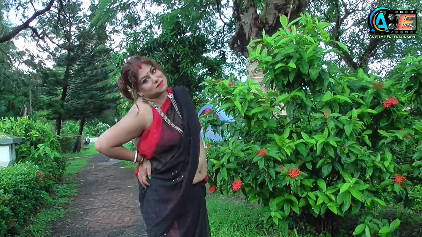 PAMELA Saree Sundori Saree Fashion Video Shoot Saree Lover High Fashion Saree Shoot