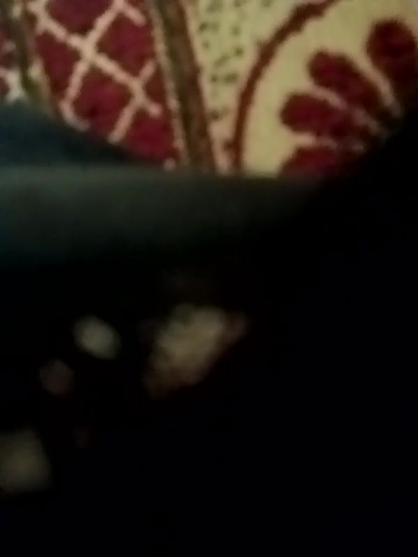 Stripchat-Public.Show-c-QUEEN-X-CPL-2025.01.16.170809