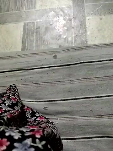 Stripchat-Public.Show-c-QUEEN-X-CPL-2025.05.03.184153