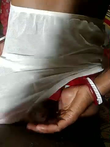 Stripchat-Public.Show-c-Starbhabhi-2025.02.01.091326