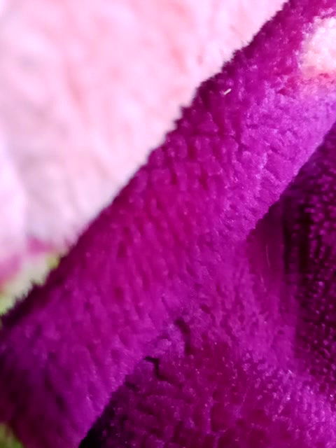 Stripchat-Public.Show-c-Starbhabhi-2025.02.10.161809