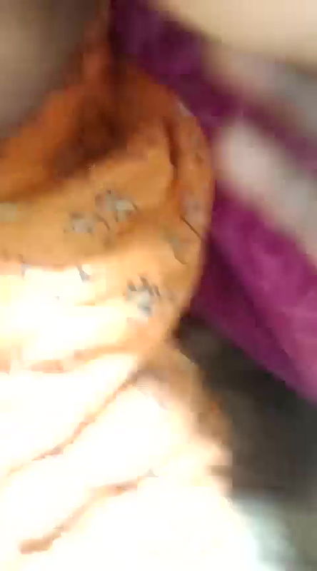 Stripchat-Public.Show-c-Starbhabhi-2025.02.14.154743