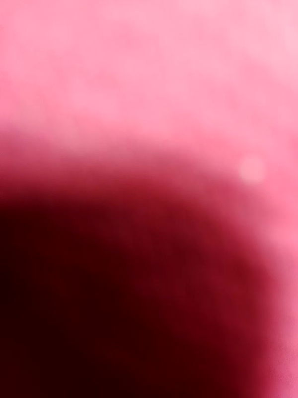 Stripchat-Public.Show-c-Starbhabhi-2025.02.22.160503