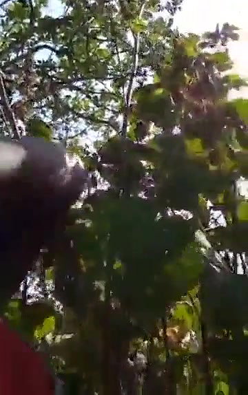 Desi couple fun outdoor