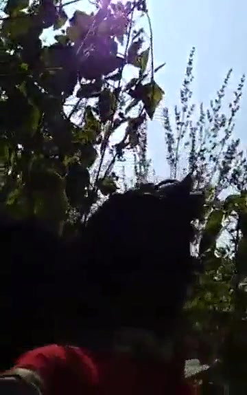 Desi couple fun outdoor