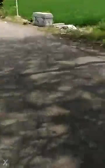 Caught quick fucking