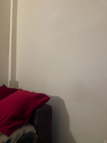 Stripchat-Public.Show-f-Strip-rose-2025.05.27.181609