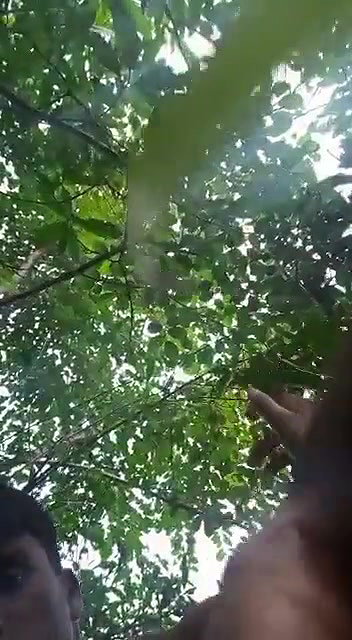 Village bhabhi Outdoor hard fucking loud moaning mms