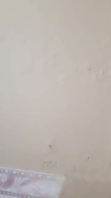 Bigboob Bhabi Showing