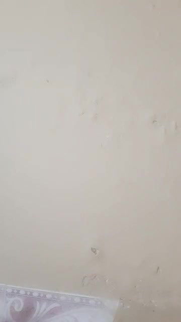 Bigboob Bhabi Showing