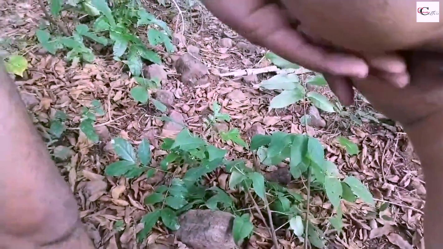 jungal me masngal ..part 1