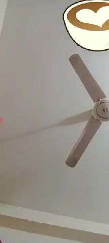 Beautiful Girl Showing Boobs And Pussy