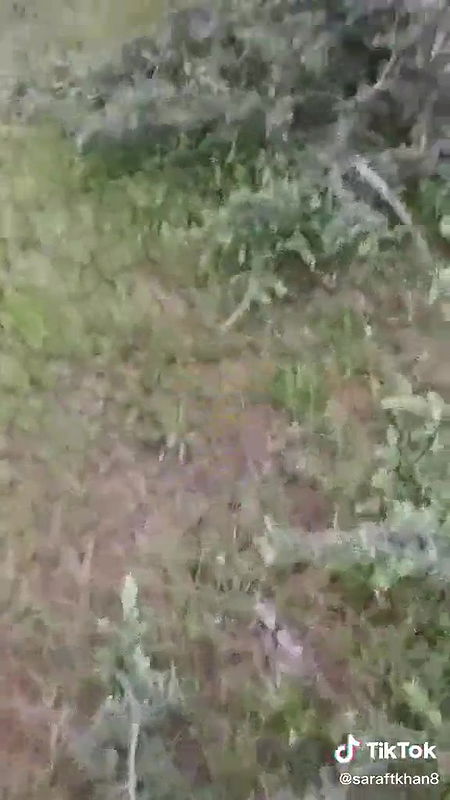 Desi couple fucking outdoor