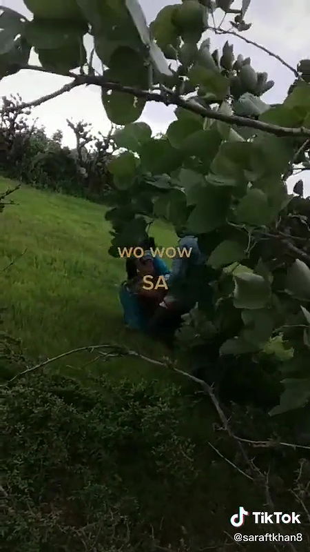 Desi couple fucking outdoor