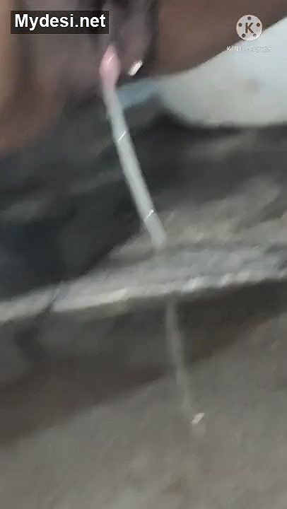 Desi village bhabi hot pee