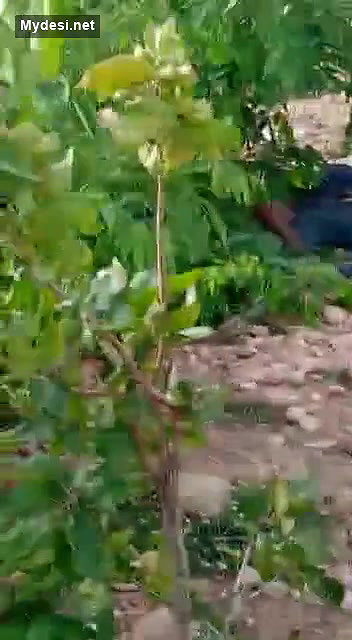 Desi couple caught outdoor