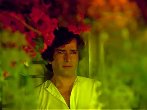 Bollywood Star Zeenat Amman – Movies