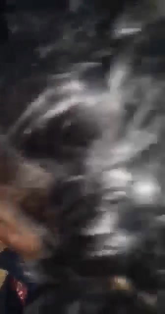 Desi cute girl suck her bf dick