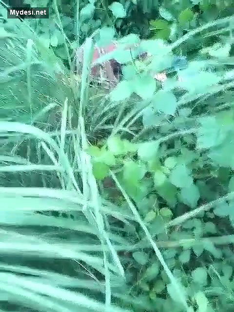 Lovers caught While Having Sex