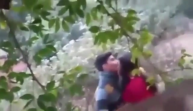 Lovers Outdoor Romance Caught on cam