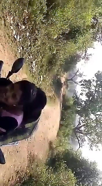 Desi lover fun outdoor