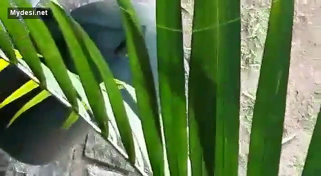 Girlfriend Giving Nice Handjob