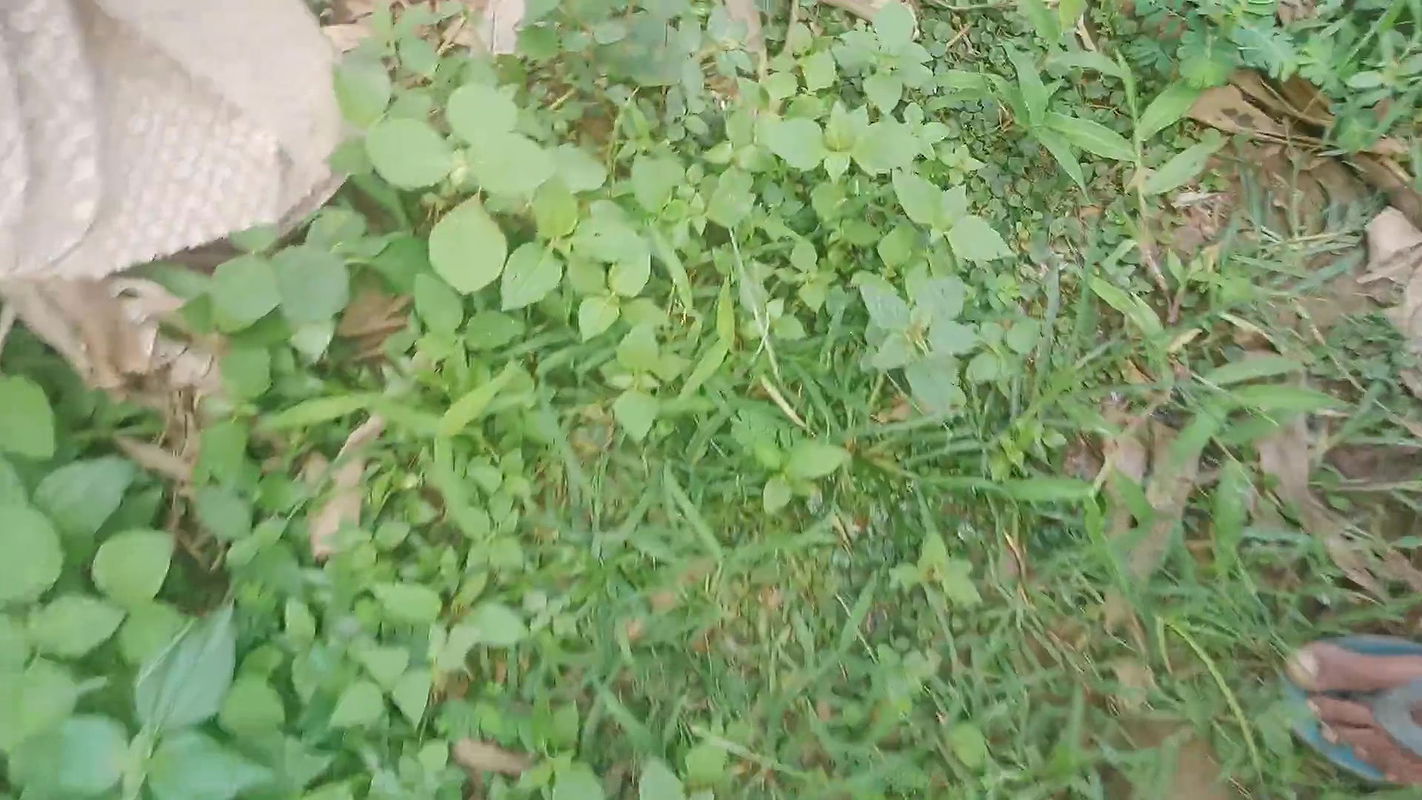 Assam, wife sex aur husband vedio