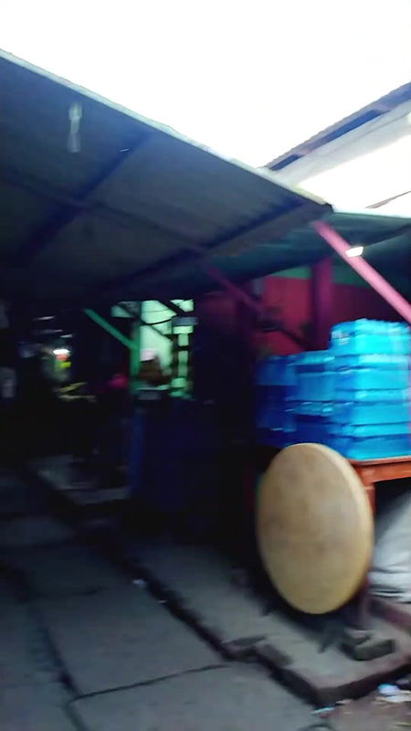 দৌলতদিয়া ঘাটের দরদামের ভিডিও   Daulatdia Polli New Video 2025