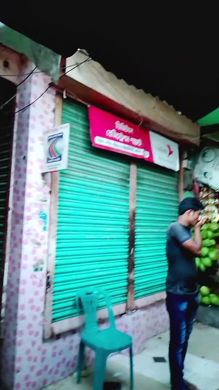 দৌলতদিয়া ঘাটের দরদামের ভিডিও   Daulatdia Polli New Video 2025