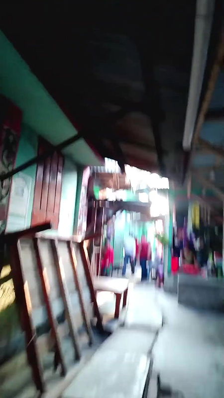 দৌলতদিয়া ঘাটের দরদামের ভিডিও   Daulatdia Polli New Video 2025