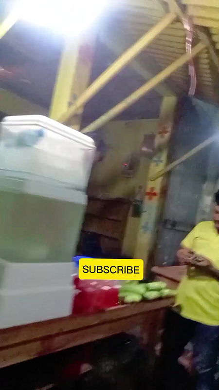 দৌলতদিয়া ঈদের দিন   Daulatdia Polli New Video 2025