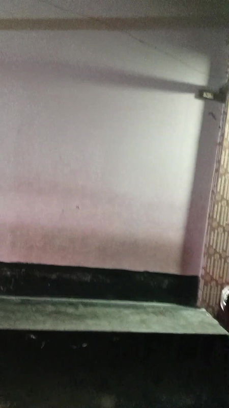 দৌলতদিয়া পল্লীর রাতের ভিডিও   Daulatdia Polli new video 2025