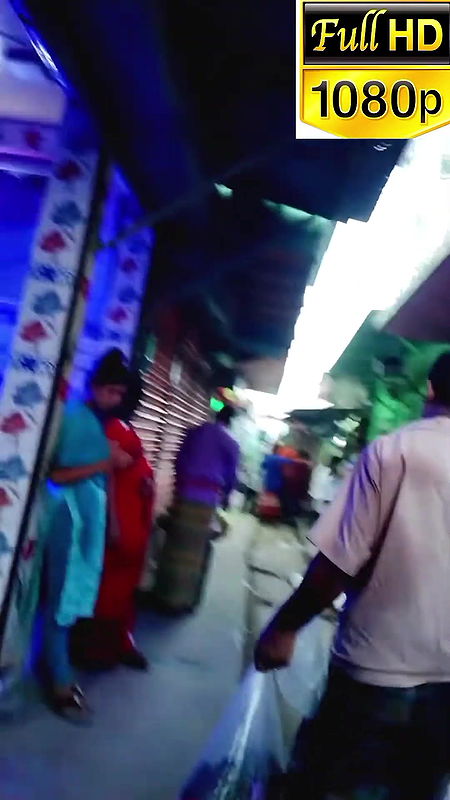 দৌলতদিয়া পল্লীর ভিআইপি   daulatdia ghat   Daulatdia new video 2025