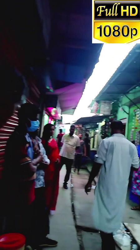 দৌলতদিয়া পল্লীর ভিআইপি   daulatdia ghat   Daulatdia new video 2025