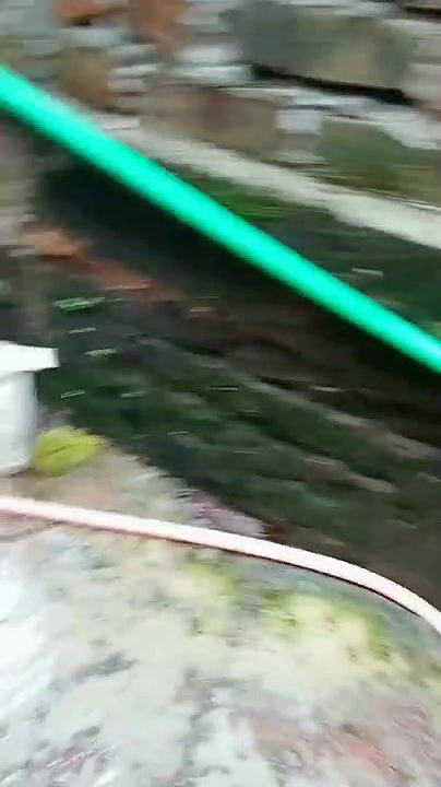 bengali bhabi boobs shwo formoney