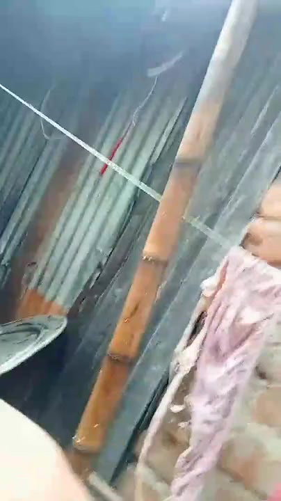 bengali bhabi boobs shwo formoney