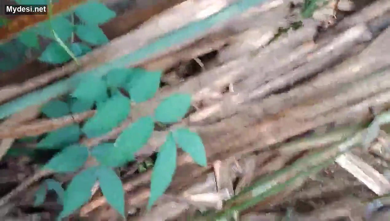 Desi village girl fucking outdoor