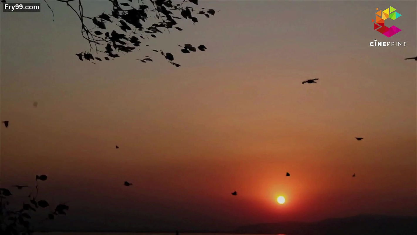 Giddh Bhoj Epi 3 Cineprime