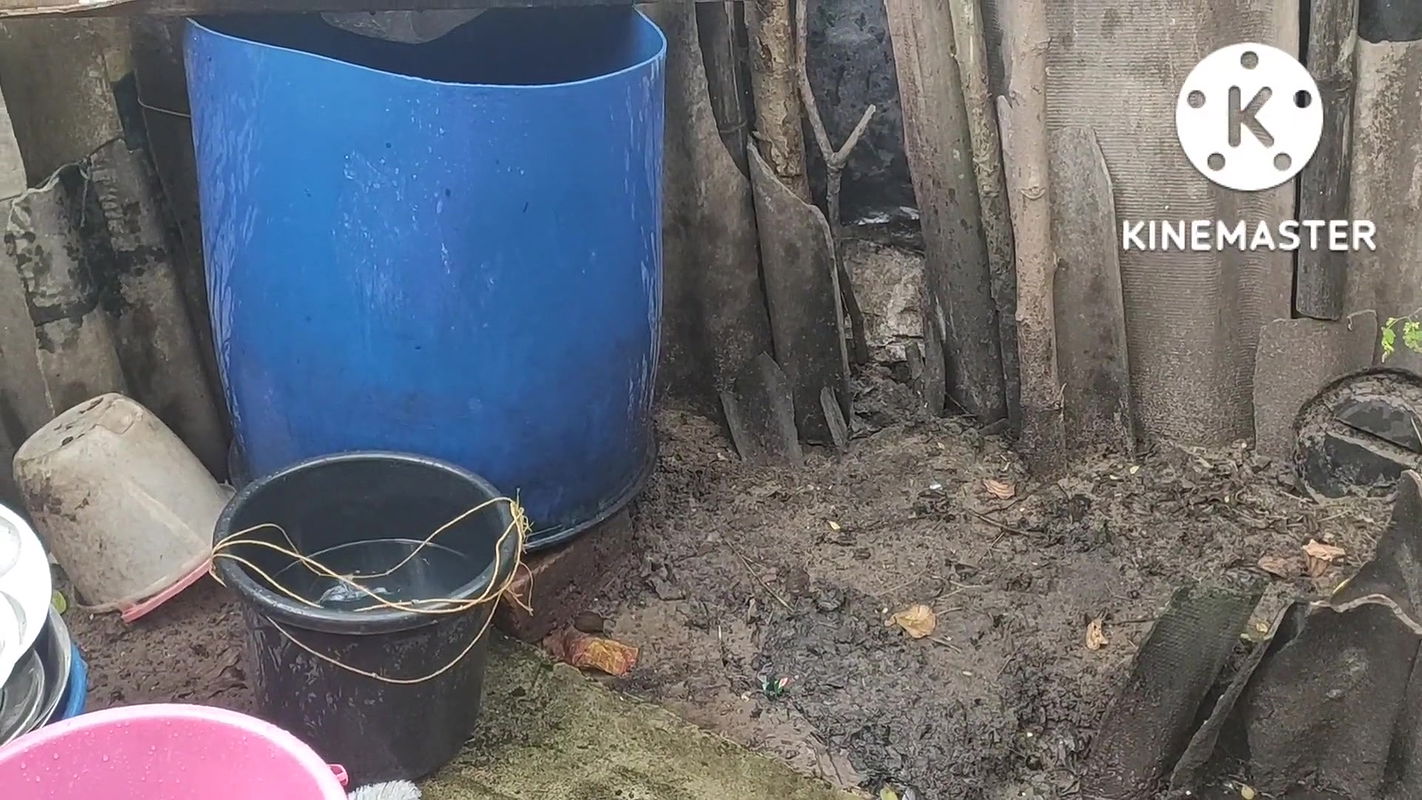 Anita yada bathing topless outside