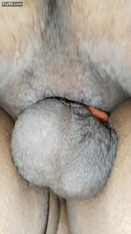 Indian girl sex chhut marne ke liye Draygan condom use kiya