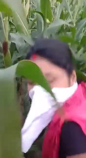 Village Bhabhi Fucked By Young Guy