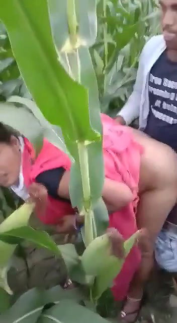 Village Bhabhi Fucked By Young Guy