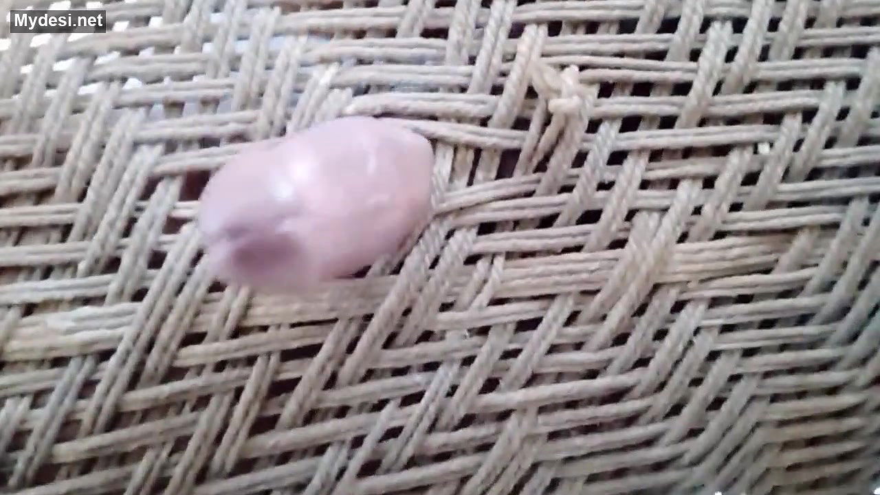 Desi village boy funny video